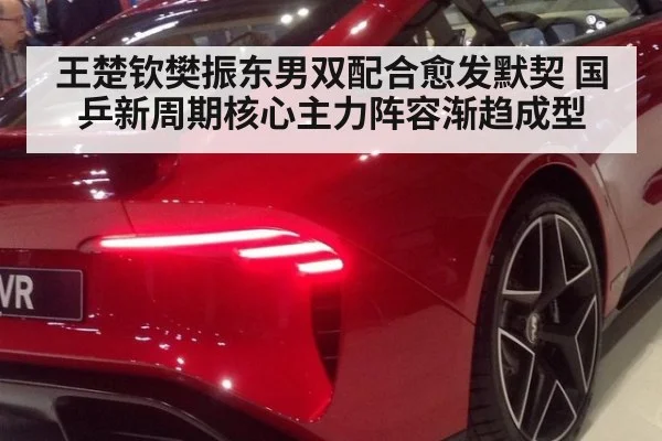 王楚钦樊振东男双配合愈发默契 国乒新周期核心主力阵容渐趋成型